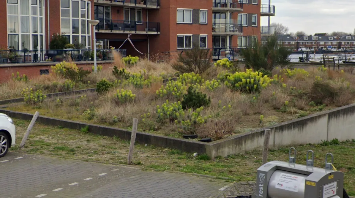 screenshot 20210803 125020