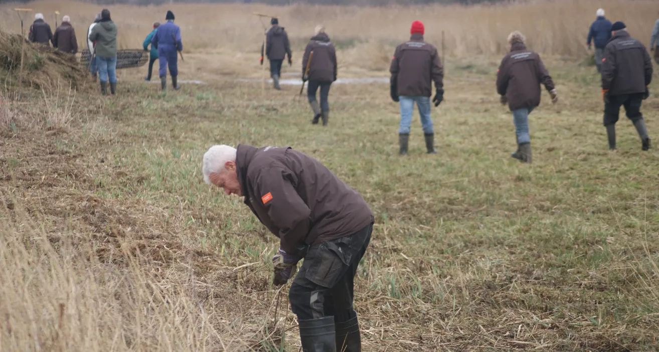 screenshot 20210808 120629