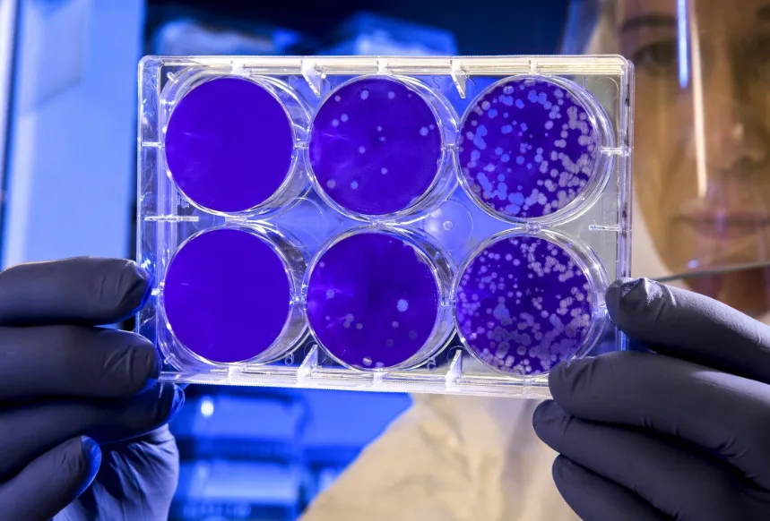 screenshot 20210819 143151