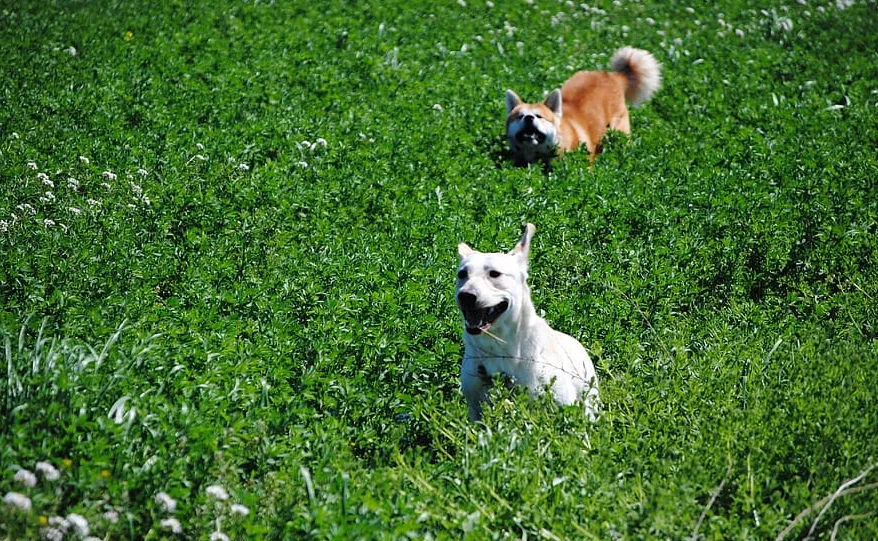 screenshot 20210824 162604