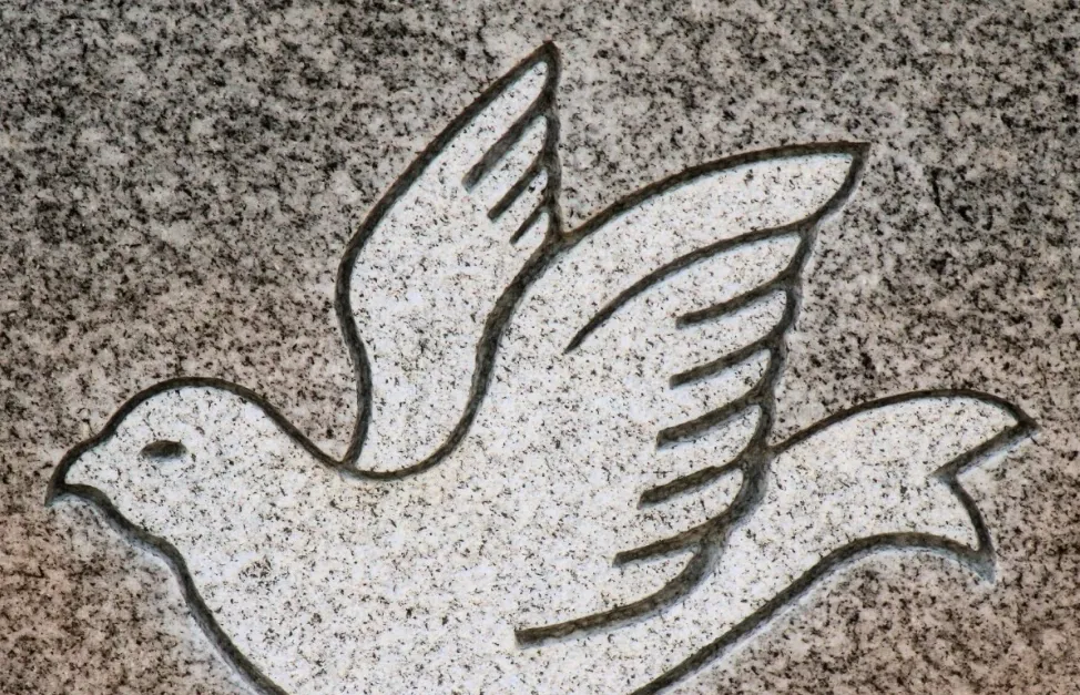 screenshot 20210826 144137