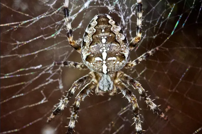 screenshot 20210919 102203