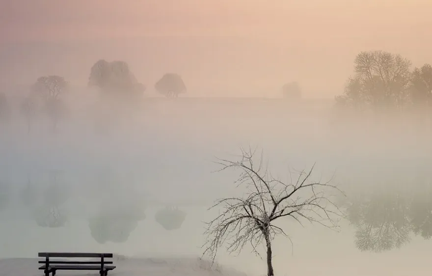 screenshot 20211010 090450