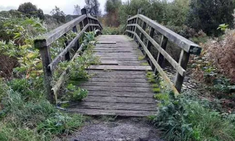 screenshot 20211028 155340