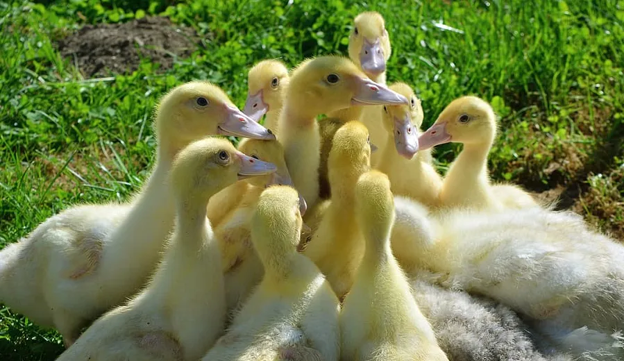 screenshot 20211102 081506