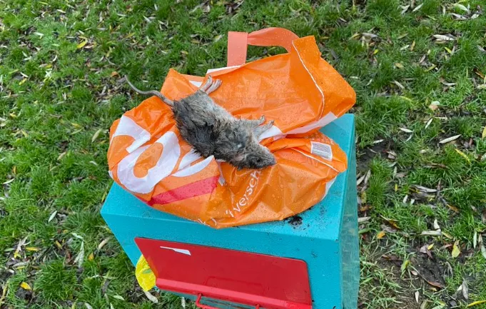 screenshot 20211129 160740