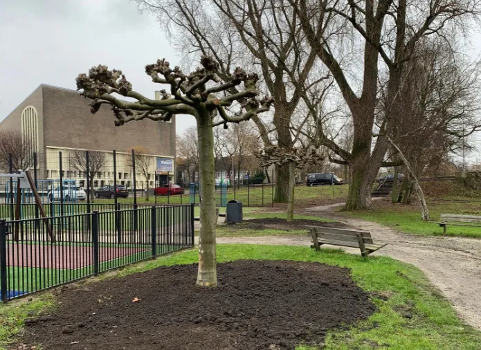 screenshot 20211219 160537