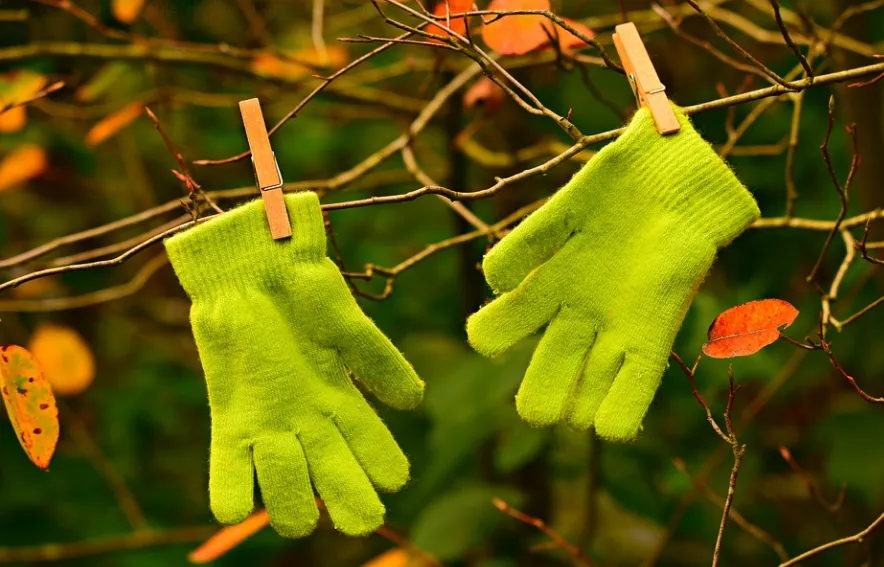 screenshot 20211229 133021