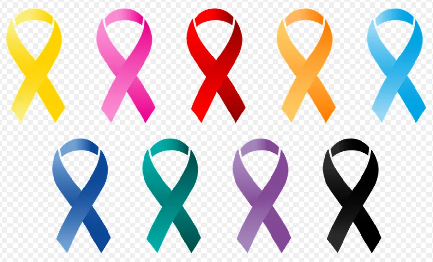 screenshot 20211229 151226