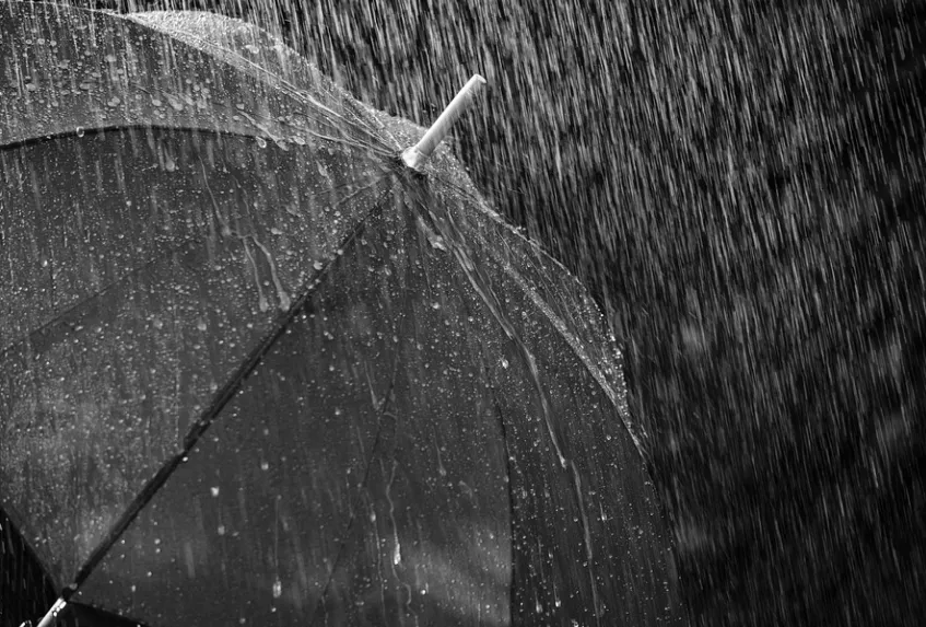 screenshot 20220105 100039