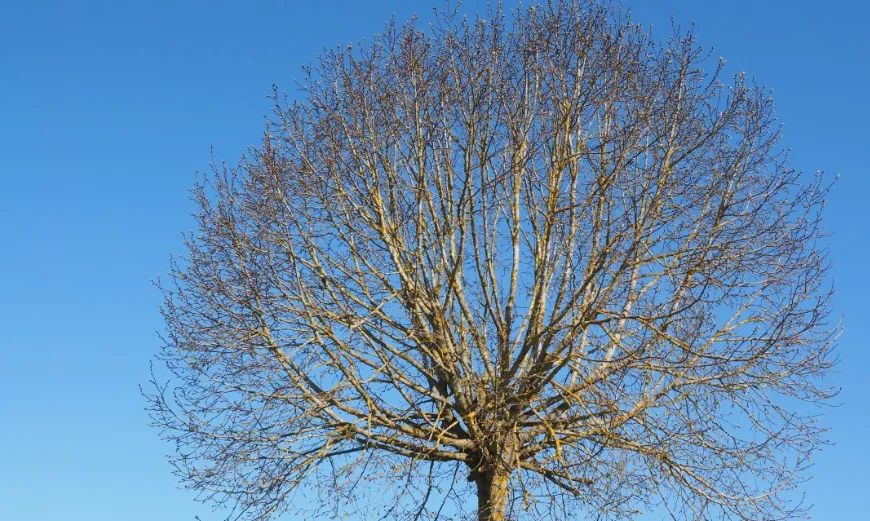 screenshot 20220121 170736