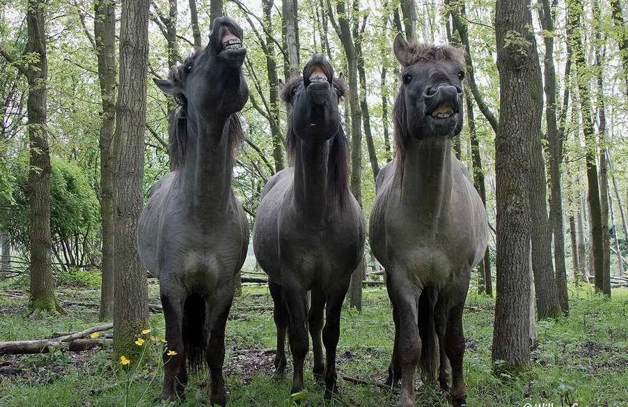 screenshot 20220128 124759