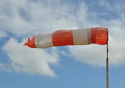 screenshot 20220130 094925