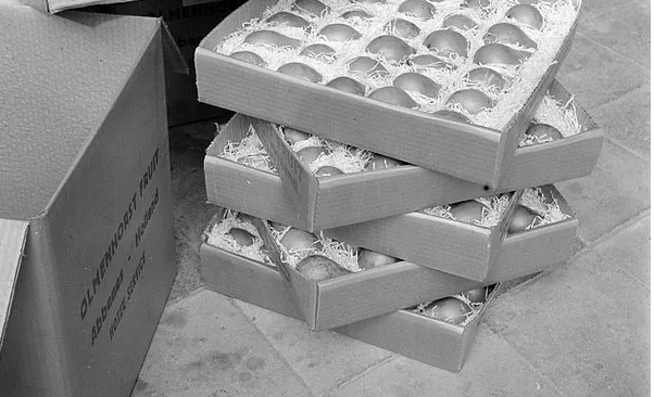 screenshot 20220130 112116