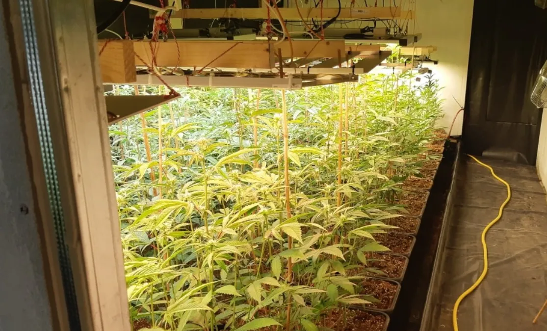 screenshot 20220203 084017