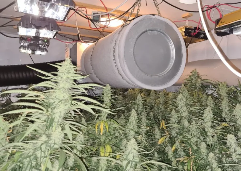 screenshot 20220209 121608