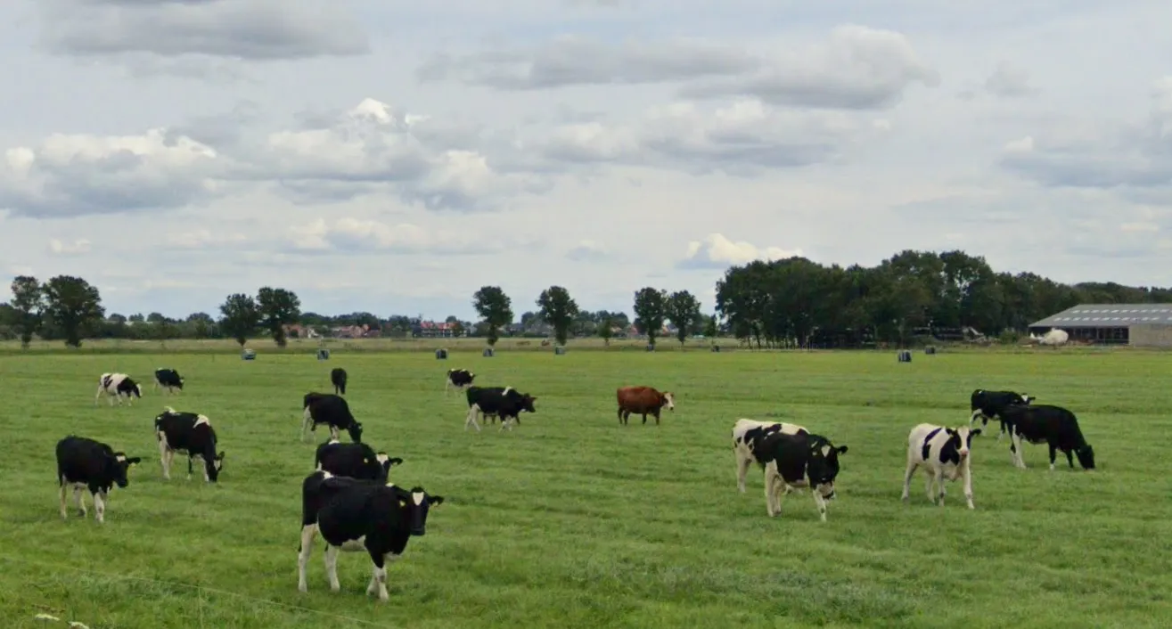 screenshot 20220213 153255