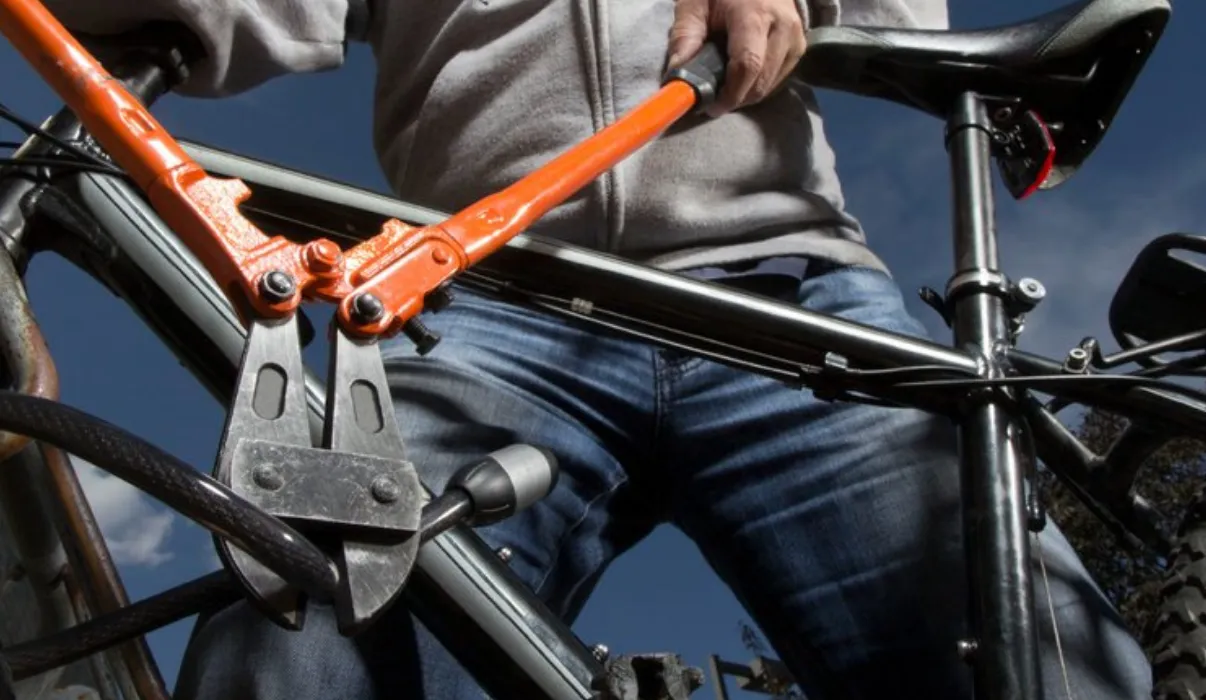 screenshot 20220217 161603