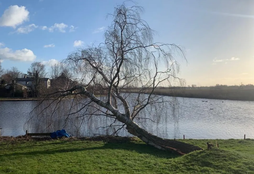 screenshot 20220221 155709