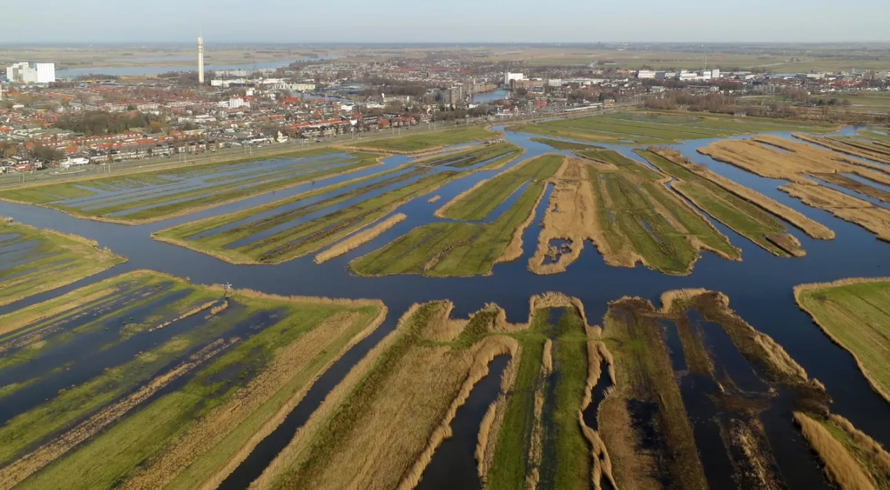 screenshot 20220223 125447