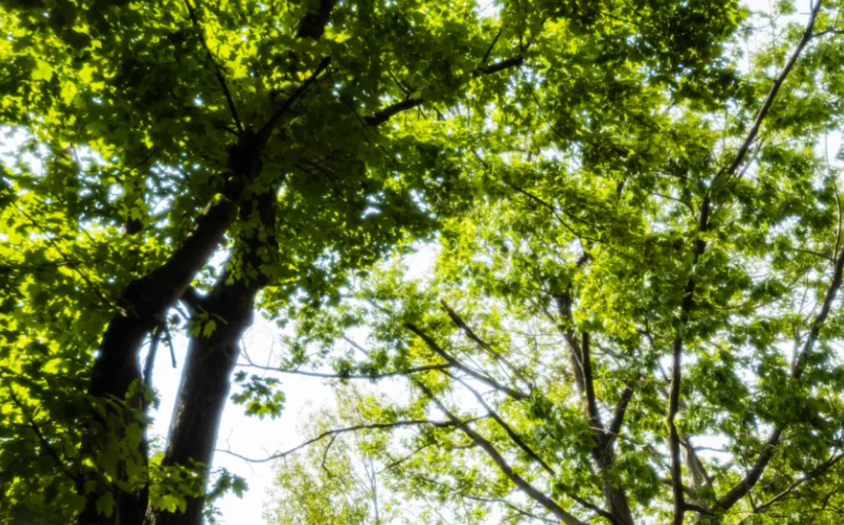 screenshot 20220224 084825