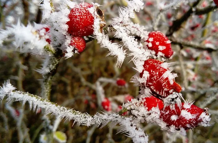 screenshot 20220227 103036