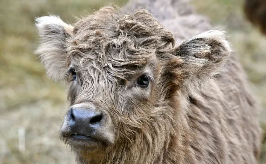 screenshot 20220301 155721