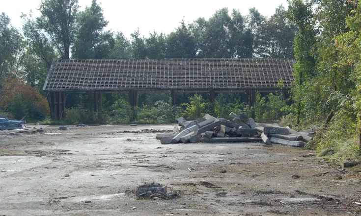 screenshot 20220306 125553