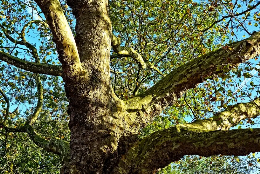 screenshot 20220311 092545