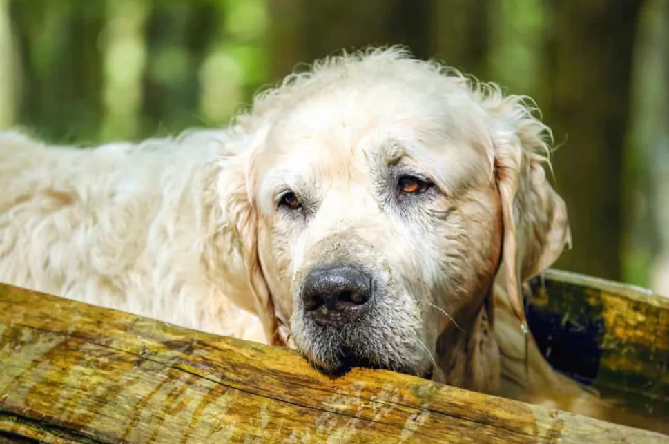 screenshot 20220312 100042