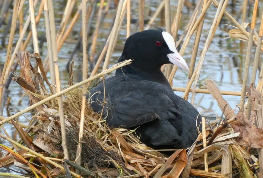 screenshot 20220316 135734