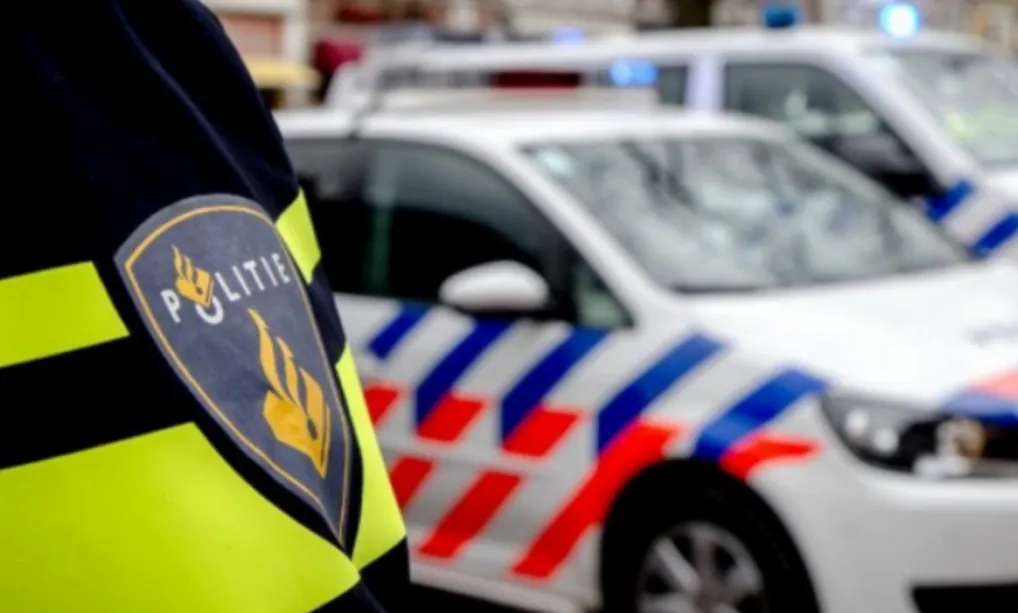 screenshot 20220319 141527