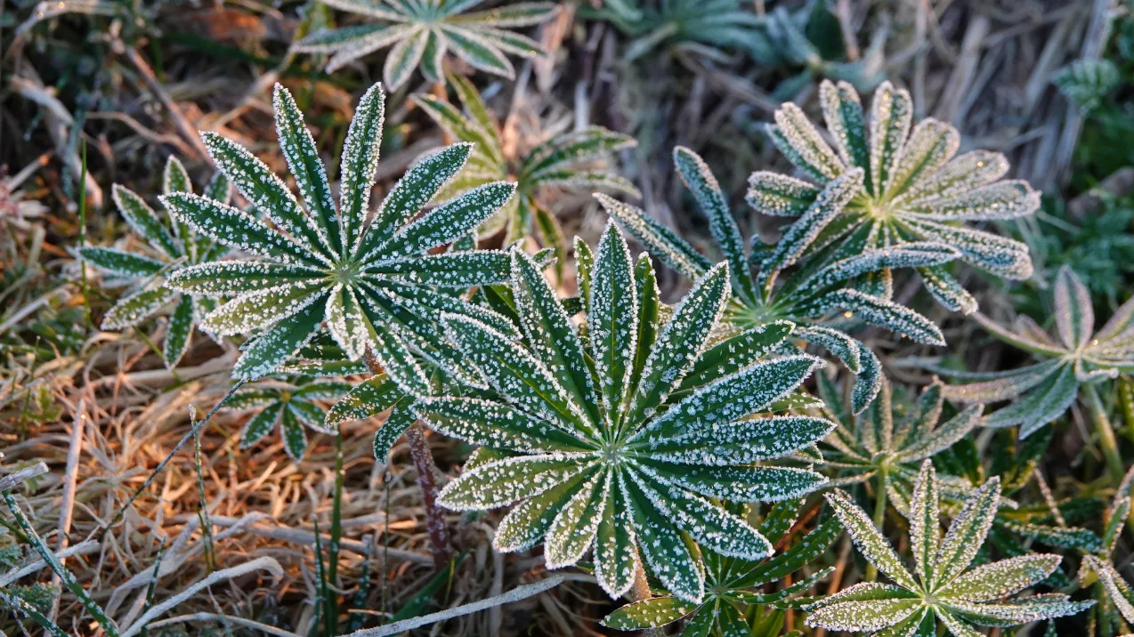 screenshot 20220403 085330