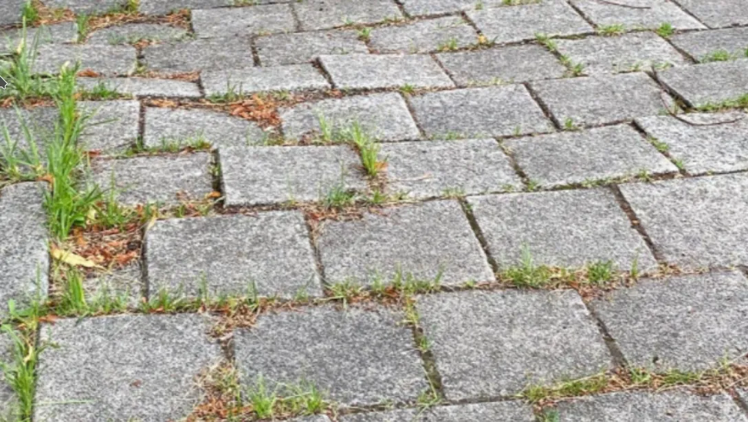 screenshot 20220403 105701