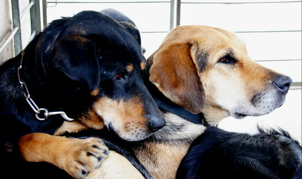 screenshot 20220422 164319