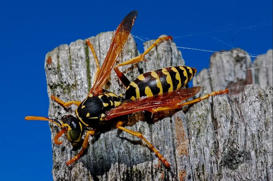 screenshot 20220516 090909