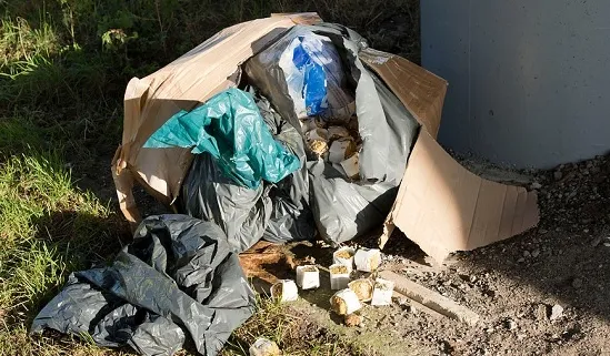 screenshot 20220516 112514