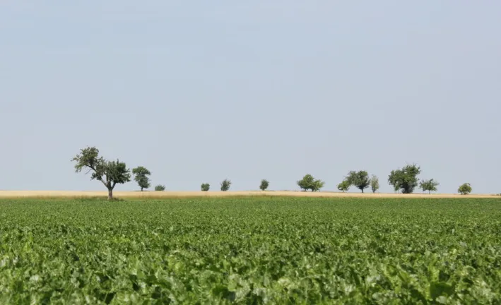 screenshot 20220523 122136