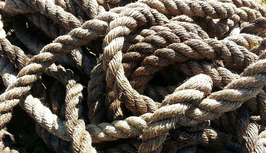 screenshot 20220523 153833