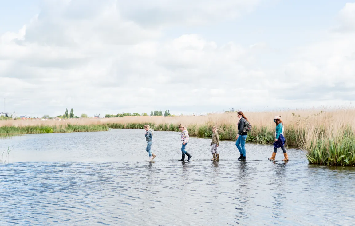 screenshot 20220526 071220