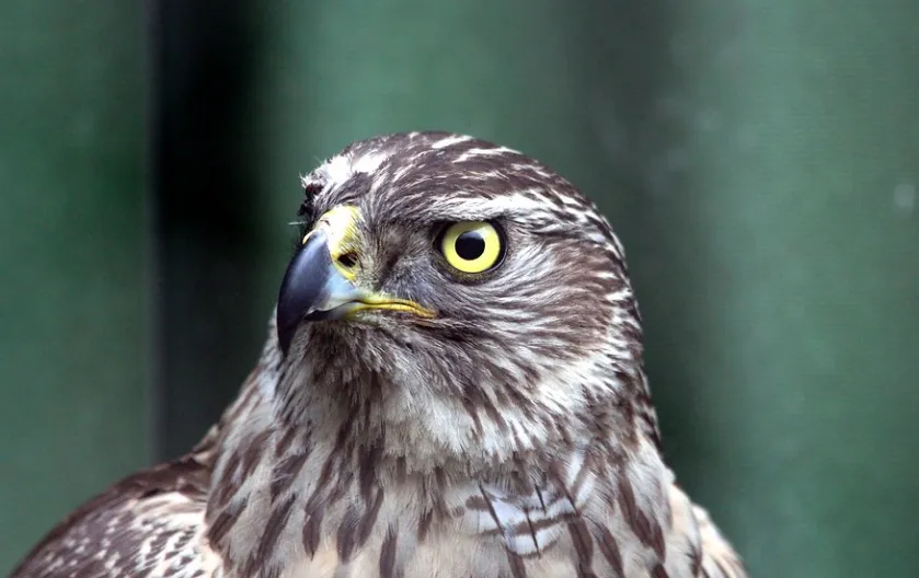 screenshot 20220528 085656