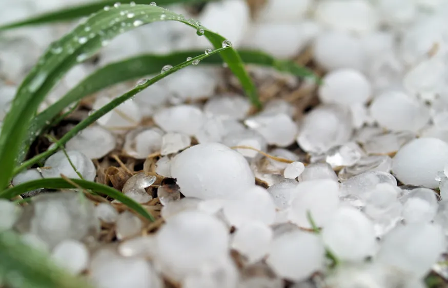 screenshot 20220531 110940