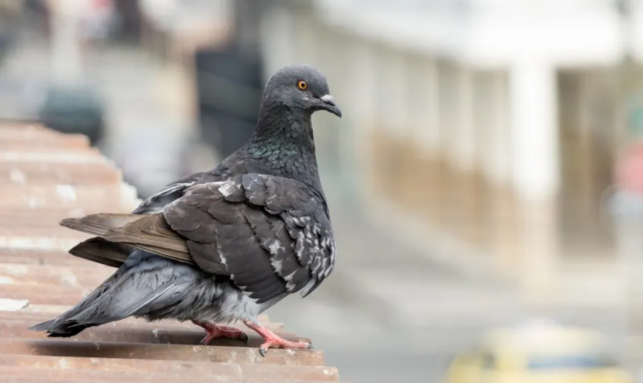 screenshot 20220531 163447