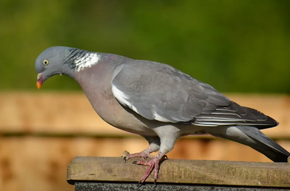 screenshot 20220604 130730