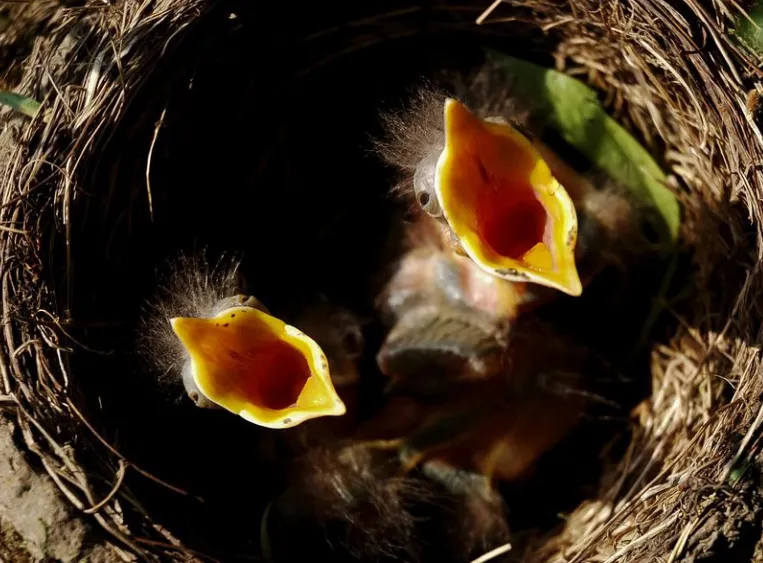 screenshot 20220607 122434