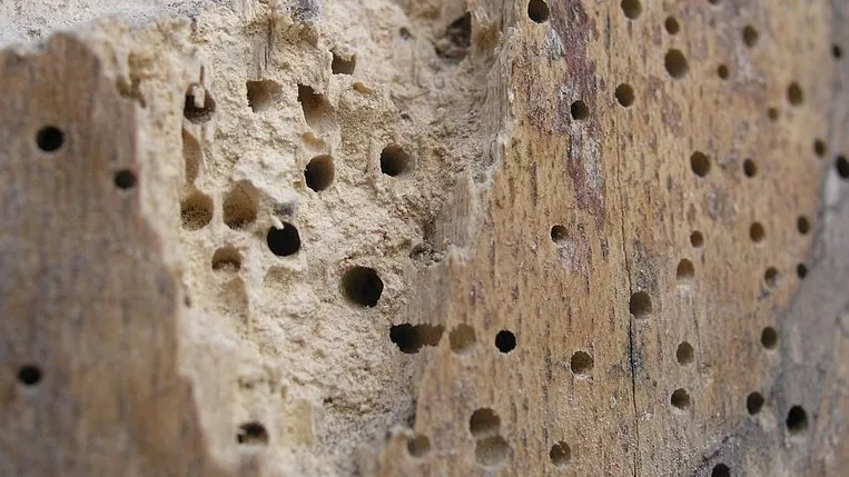 screenshot 20220616 130943