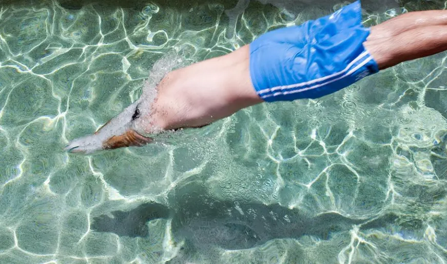 screenshot 20220617 095157