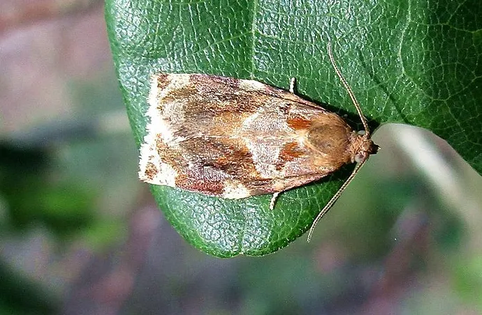 screenshot 20220623 104317