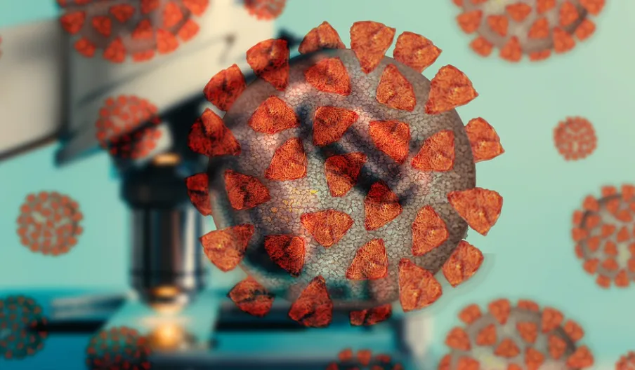 screenshot 20220628 091122