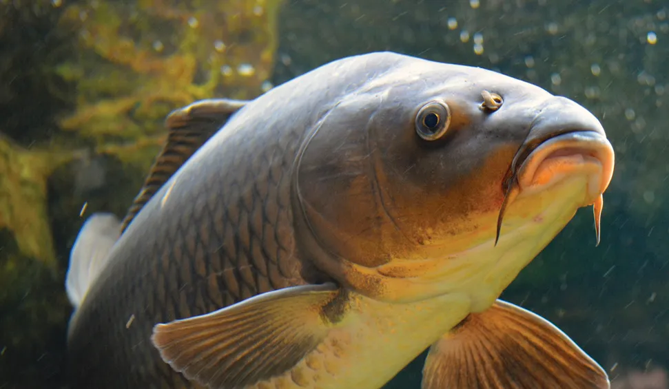 screenshot 20220629 123357